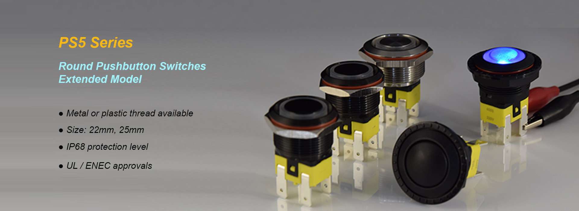 PS5 round pushbutton switches